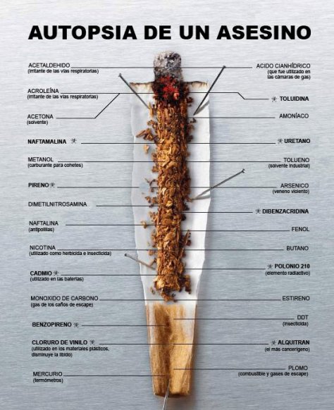 Necropsia de un asesino