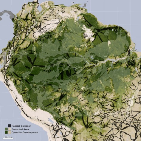 Deforestación Salvaje-acquired January 1, 2005 - December 31, 2006
