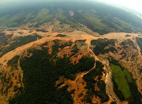 La Selva de Madre de Dios vilmente depredada por los acopiadores del Oro 